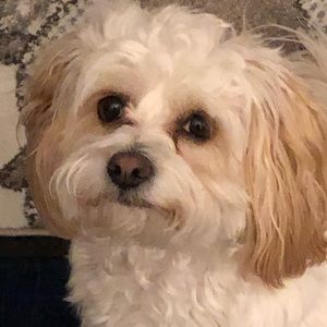 Meet your Posher, Patricia